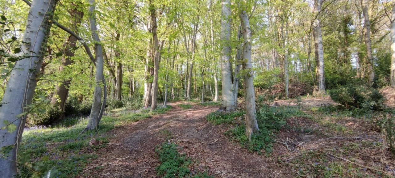 Colleville Gites 4,6 Personnes Fecamp Etretat מראה חיצוני תמונה